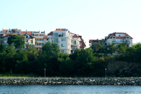 IMG_3537_800.jpg