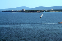 IMG_4088_800.jpg