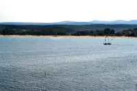 IMG_4099_800.jpg