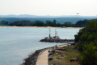 IMG_4102_800.jpg